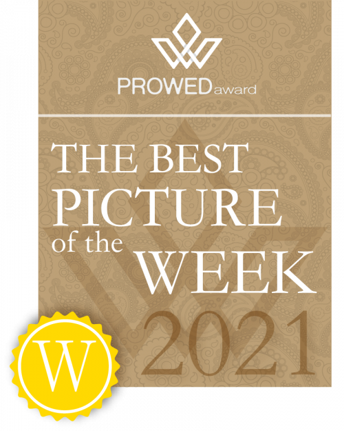 picture_week